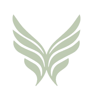 FindCenter Video Image