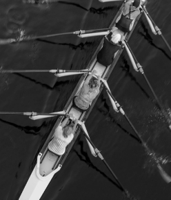 FindCenter Athlete Identity Image